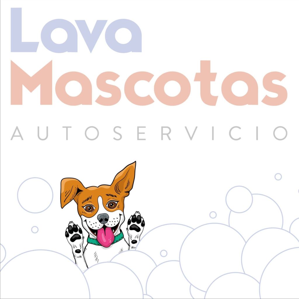 lavamascotas guadalajara